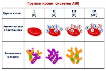 Разные группы крови