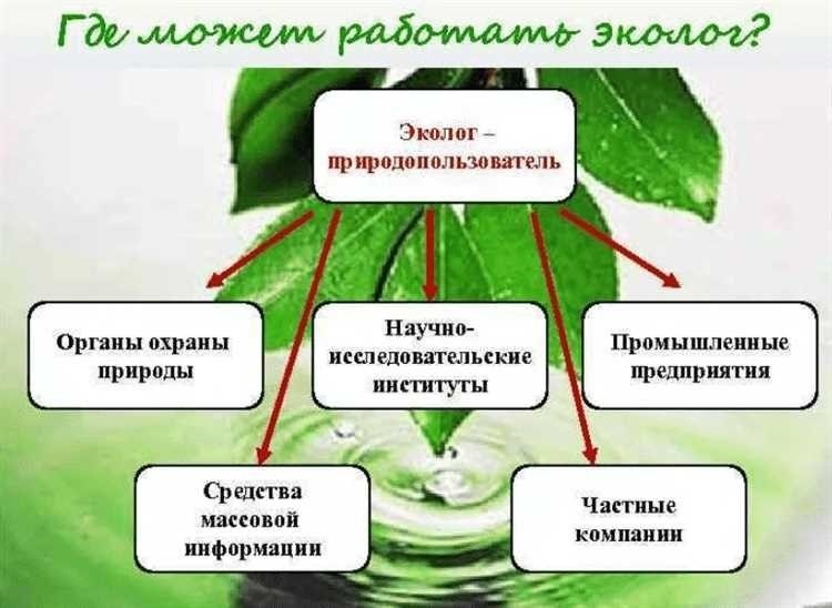 Недостатки внутренней экологической службы